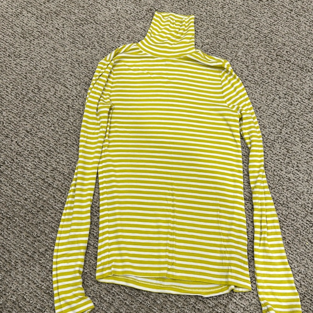 Gap ribbed green stripe turtleneck